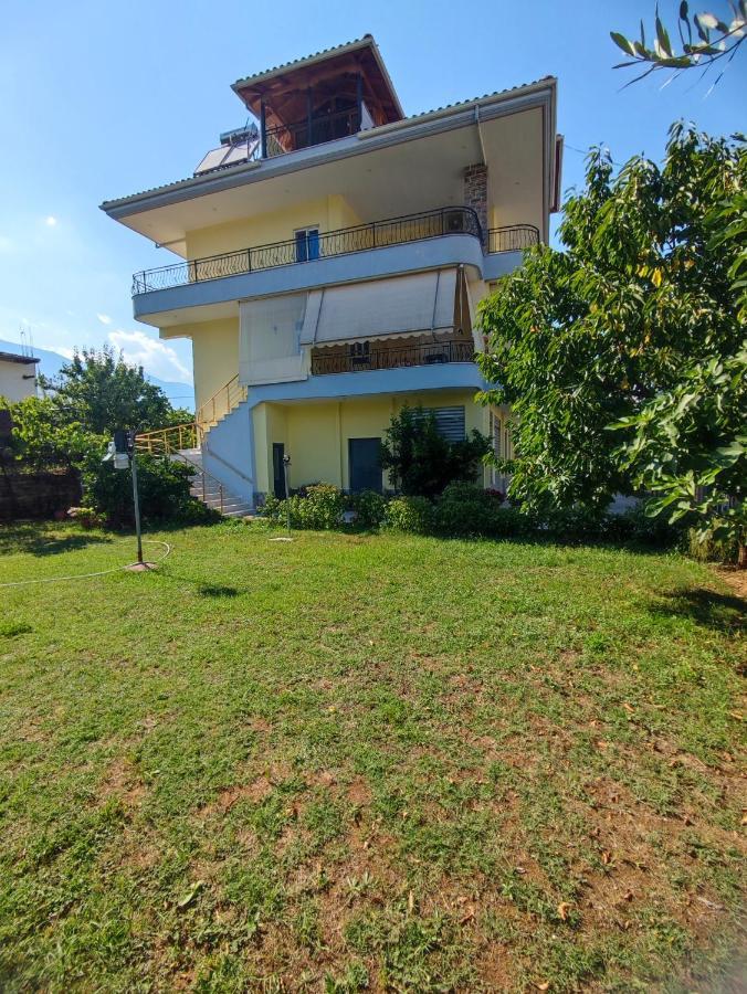 Cheerful 2 Bedroom Villa With Free Parking. Gjirokastër Buitenkant foto